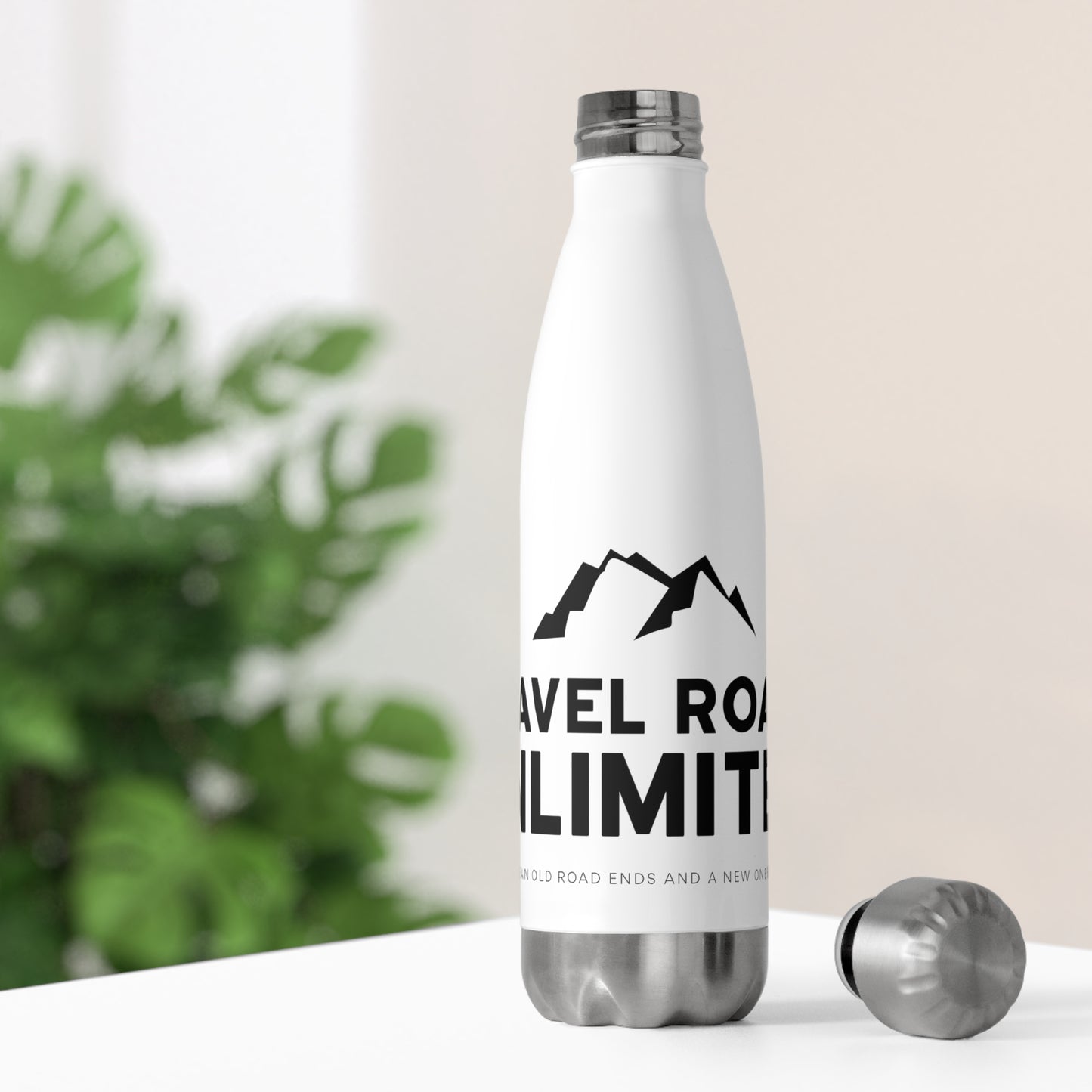 20oz Insulated Bottle